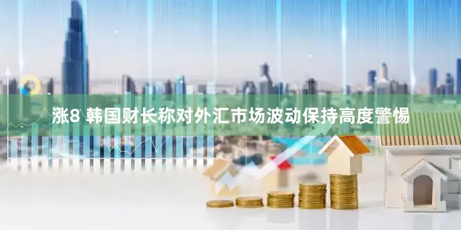 涨8 韩国财长称对外汇市场波动保持高度警惕