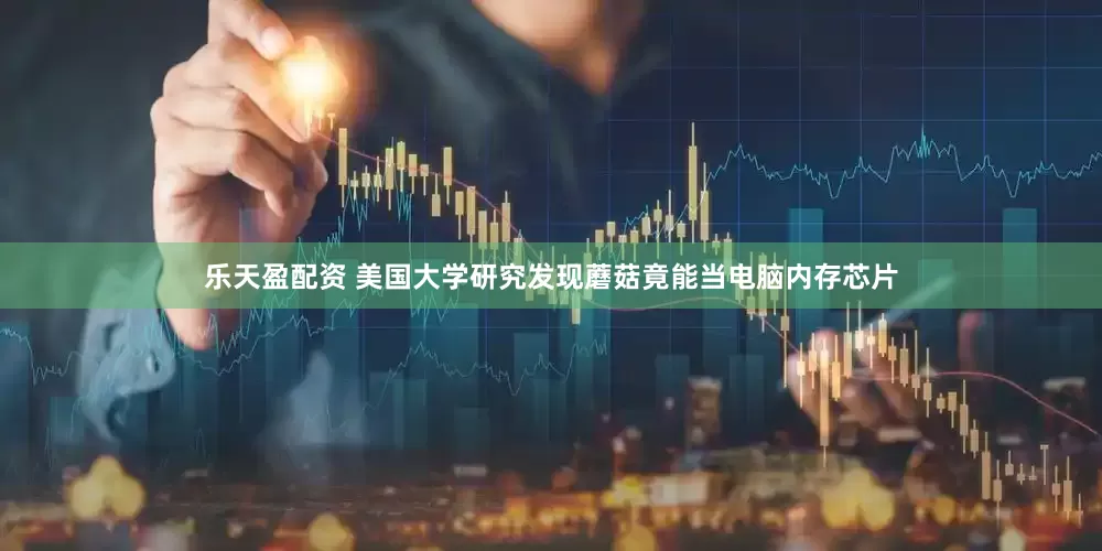 乐天盈配资 美国大学研究发现蘑菇竟能当电脑内存芯片